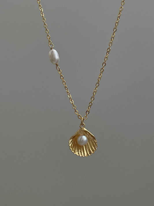 The Shell Pearl Necklace(Sold Out)