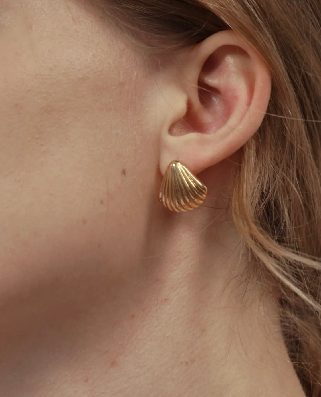 The Shell Earrings