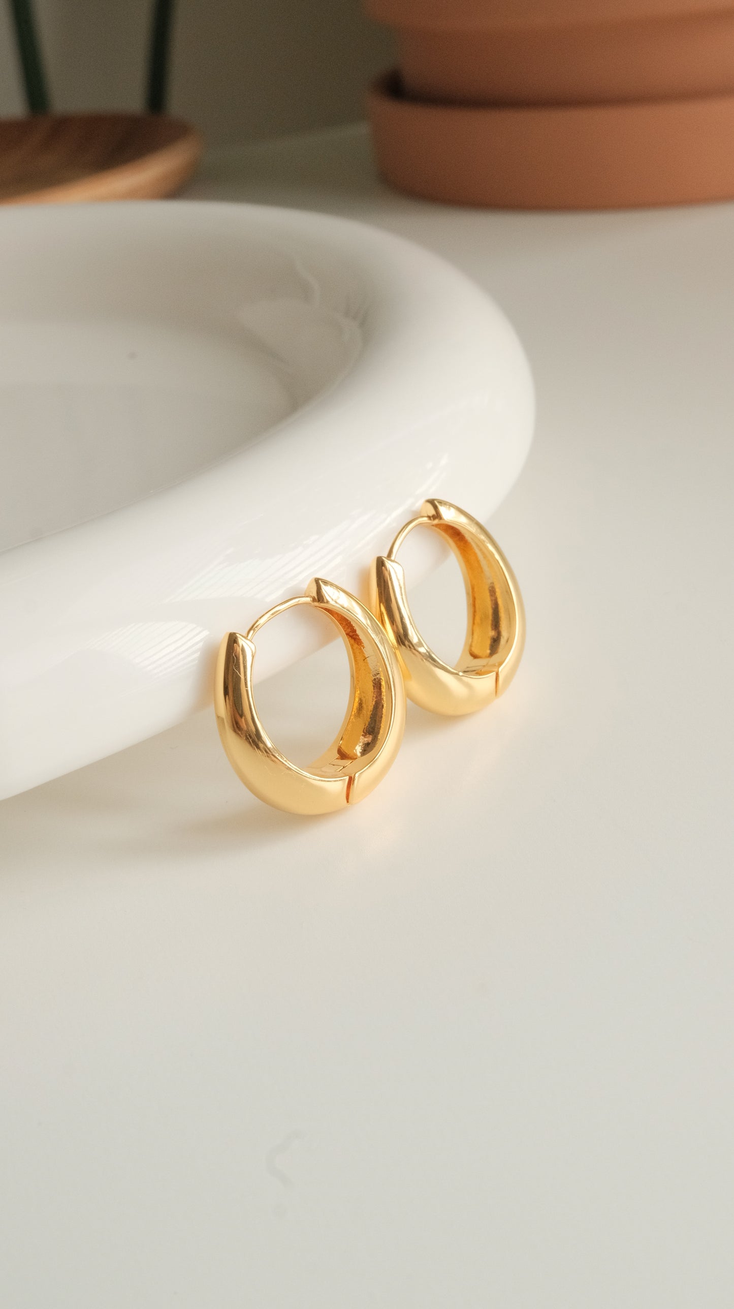 The Elegant Hoop Earrings